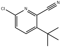 3-(tert-Butyl)-6-chloropicolinonitrile|3-(叔丁基)-6-氯吡啶-2-甲腈