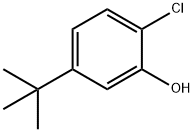 5-tert-butyl-2-chlorophenol