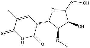 2'-O-Methyl-5-methyl-4-thiouridine Structure