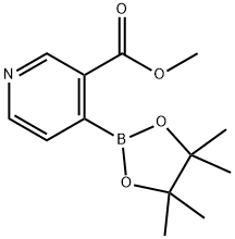 4-(4,4,5,5-四甲基-1,3,2-二氧硼杂环戊烷-2-基)烟酸甲酯,2096342-27-5,结构式