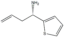(S)-1-(Thiophen-2-yl)but-3-en-1-amine Struktur