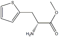 METHYL (2R)-2-AMINO-3-(THIOPHEN-2-YL)PROPANOATE Structure