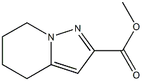 4,5,6,7-四氢吡唑并[1,5-A]吡啶-2-羧酸甲酯, 307307-82-0, 结构式