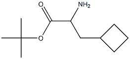 RS-2-环丁基丙氨酸叔丁酯, 313979-47-4, 结构式