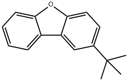 2-(tert-butyl)dibenzo[b,d]furan Struktur