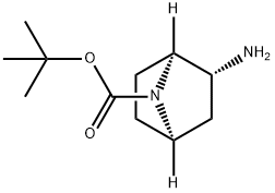 (1S,2R,4R)-2-氨基-7-氮杂双环[2.2.1]庚烷-7-羧酸叔丁酯, 500556-90-1, 结构式