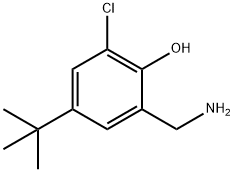 2-(aminomethyl)-4-tert-butyl-6-chlorophenol
