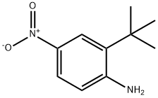 2-tert-butyl-4-nitrobenzenamine