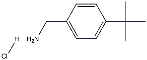 4-(tert-Butyl)benzylamine Hydrochloride|4-叔丁基苄胺盐酸盐