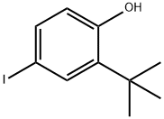 2-tert-butyl-4-iodophenol