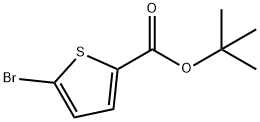 5-ブロモチオフェン-2-カルボン酸TERT-ブチル 化学構造式