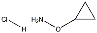 O-Cyclopropylhydroxylamine hydrochloride Structure