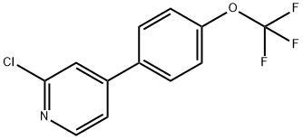 2-氯-4-(4-三氟甲氧基苯基)吡啶 结构式