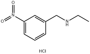 Ethyl-(3-nitro-benzyl)-aMine HYDROCHLORIDE 结构式