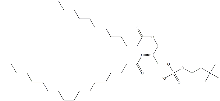 1-月桂酰-2-油酰基卵磷脂, 91917-72-5, 结构式