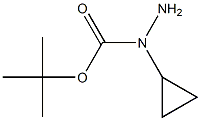 tert-butyl 1-cyclopropylhydrazinecarboxylate|1-环丙基肼甲酸叔丁酯