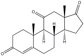 11-酮基-4-雄烯二酮