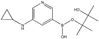  5-(Cyclopropylamino)pyridine-3-boronic acid pinacol ester
