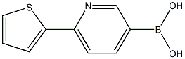 (6-(thiophen-2-yl)pyridin-3-yl)boronic acid Struktur