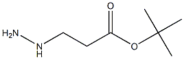 tert-butyl 3-hydrazinylpropanoate Structure