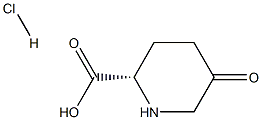 (2S)-5-氧代哌啶-2-羧酸盐酸盐 结构式