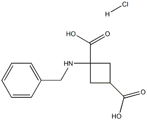 (1s,3s)-1-(benzylamino)cyclobutane-1,3-dicarboxylic acid hydrochloride,,结构式