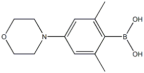  2,6-二甲基-4-吗啡啉基苯硼酸