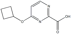 4-Cyclobutoxypyrimidine-2-carboxylic acid Structure
