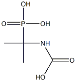 Phosphonic  acid,  (1-carboxyamino-1-methylethyl)-  (5CI) Structure