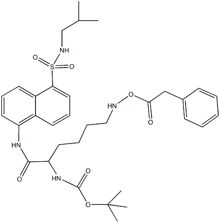 1039737-04-6 tert-butyl 1-[({5-[(isobutylamino)sulfonyl]-1-naphthyl}amino)carbonyl]-5-{[(phenylacetyl)oxy]amino}pentylcarbamate