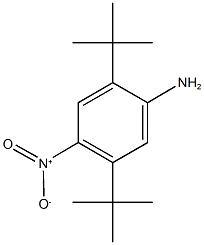 2,5-ditert-butyl-4-nitroaniline 结构式
