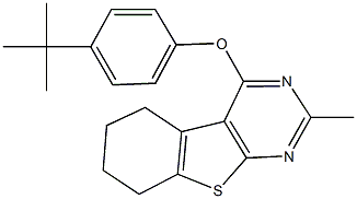 4-(4-tert-butylphenoxy)-2-methyl-5,6,7,8-tetrahydro[1]benzothieno[2,3-d]pyrimidine Structure