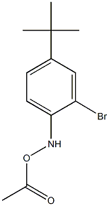 O-acetyl-N-(2-bromo-4-tert-butylphenyl)hydroxylamine Structure