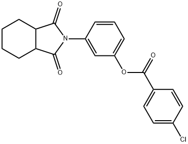3-(1,3-dioxooctahydro-2H-isoindol-2-yl)phenyl 4-chlorobenzoate 结构式