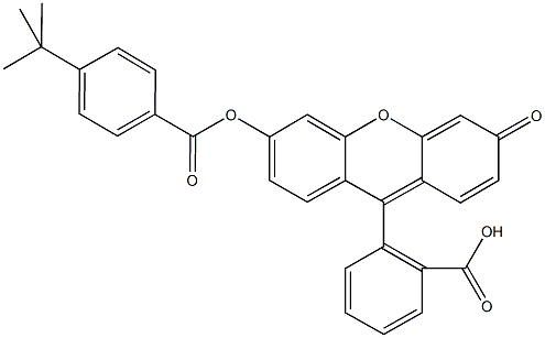 2-{6-[(4-tert-butylbenzoyl)oxy]-3-oxo-3H-xanthen-9-yl}benzoic acid 化学構造式
