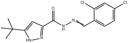 3-tert-butyl-N'-(2,4-dichlorobenzylidene)-1H-pyrazole-5-carbohydrazide Struktur