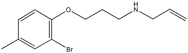 N-allyl-N-[3-(2-bromo-4-methylphenoxy)propyl]amine Struktur