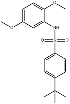 4-tert-butyl-N-(2,5-dimethoxyphenyl)benzenesulfonamide 结构式