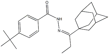 N'-[1-(1-adamantyl)propylidene]-4-tert-butylbenzohydrazide Struktur