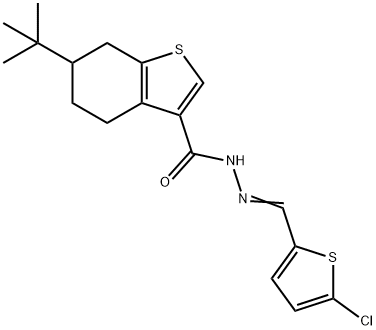 6-tert-butyl-N'-[(5-chloro-2-thienyl)methylene]-4,5,6,7-tetrahydro-1-benzothiophene-3-carbohydrazide Struktur