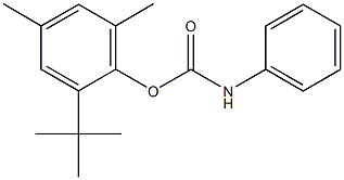 2-tert-butyl-4,6-dimethylphenyl phenylcarbamate Struktur