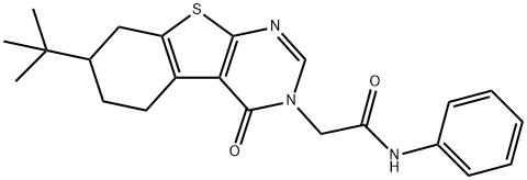2-(7-tert-butyl-4-oxo-5,6,7,8-tetrahydro[1]benzothieno[2,3-d]pyrimidin-3(4H)-yl)-N-phenylacetamide Structure