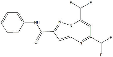 5,7-bis(difluoromethyl)-N-phenylpyrazolo[1,5-a]pyrimidine-2-carboxamide Structure