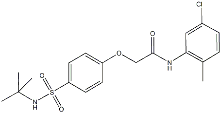 2-{4-[(tert-butylamino)sulfonyl]phenoxy}-N-(5-chloro-2-methylphenyl)acetamide 结构式
