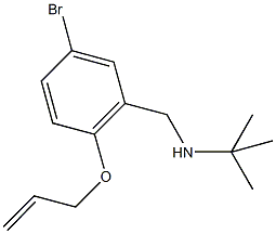 N-[2-(allyloxy)-5-bromobenzyl]-N-(tert-butyl)amine 结构式