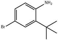 4-bromo-2-tert-butylphenylamine Struktur