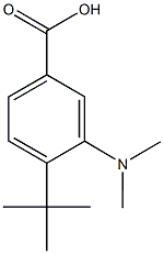 4-tert-butyl-3-(dimethylamino)benzoic acid Structure