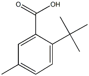 2-tert-butyl-5-methylbenzoic acid 化学構造式