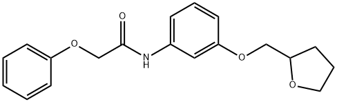 2-phenoxy-N-[3-(tetrahydro-2-furanylmethoxy)phenyl]acetamide|