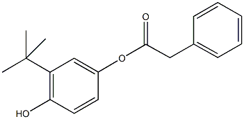 3-tert-butyl-4-hydroxyphenyl phenylacetate Structure